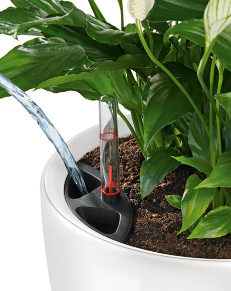 Lechuza watering system-watering