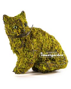 Kitten Topiary - Mossed  - SAME DAY SHIPPING
