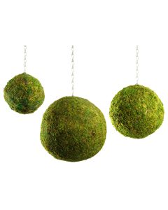 Mossed hanging balls